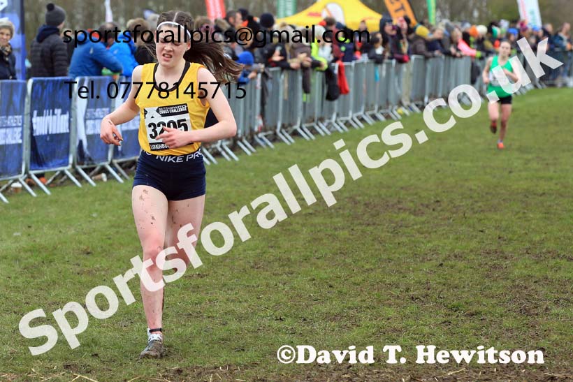 Womens Under-20s 2023 UK CAU Inter Counties Cross Country Champs, Prestwold Hall, Loughborough. Photo: David T. Hewitson/Sports for All Pics